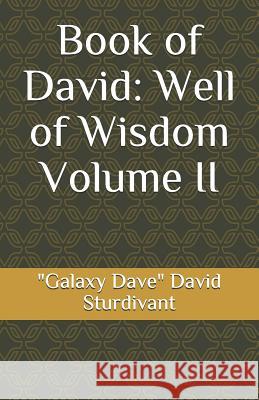 Book of David: Well of Wisdom Volume II 