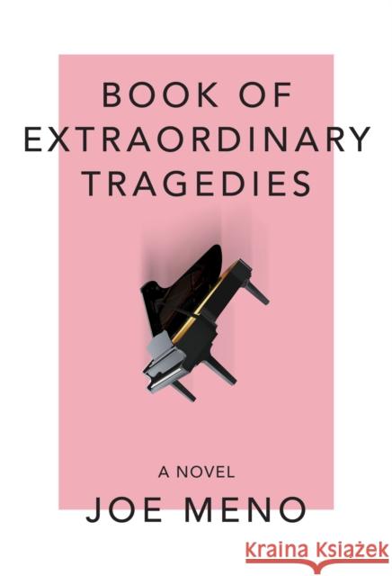 Book of Extraordinary Tragedies Joe Meno 9781636140612 Akashic Books,U.S. - książka