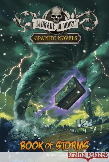 Book of Storms: A Graphic Novel Daniel Montgomery Cole Mauleon 9781398250772 Capstone Global Library Ltd - książka