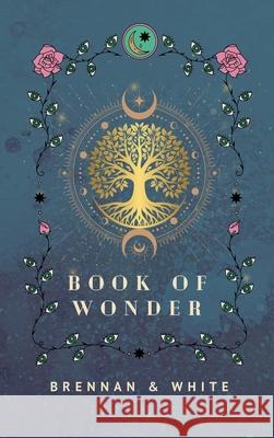 Book of Wonder Kate Brennan David Lee White 9781966004110 Ignition Arts - książka