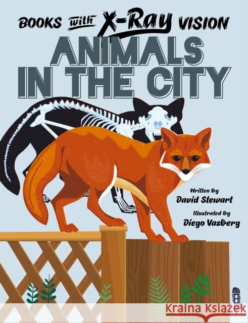Books with X-Ray Vision: Animals in the City David Stewart Diego Vaisberg 9781913971465 Salariya Book Company Ltd - książka