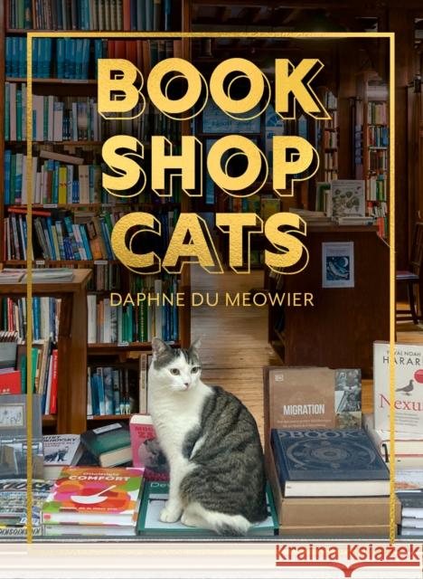Bookshop Cats Daphne du Meowier 9780008710200 HarperCollins Publishers - książka