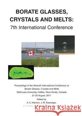 Borate Glasses, Crystals, & Melts: 7th International Conference A C Hannon J W Zwanziger S Kroeker 9780900682735 Society of Glass Technology - książka