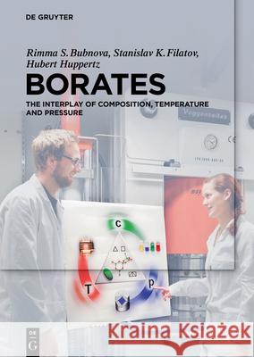 Borates: The Interplay of Composition, Temperature and Pressure Bubnova, Rimma 9783110416039 de Gruyter - książka