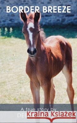 Border Breeze Debbie Saxton 9781803692883 New Generation Publishing - książka