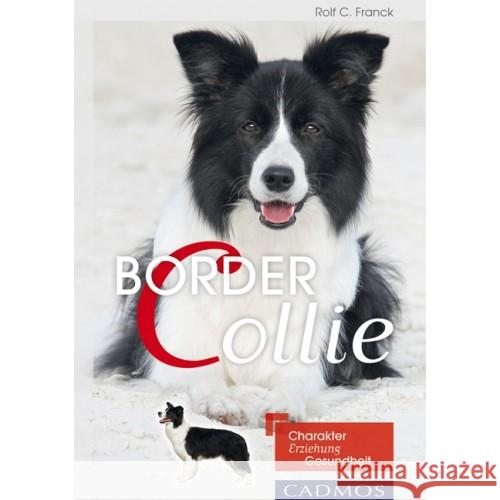 Border Collie : Charakter, Erziehung, Gesundheit Franck, Rolf C. 9783840425110 Cadmos - książka