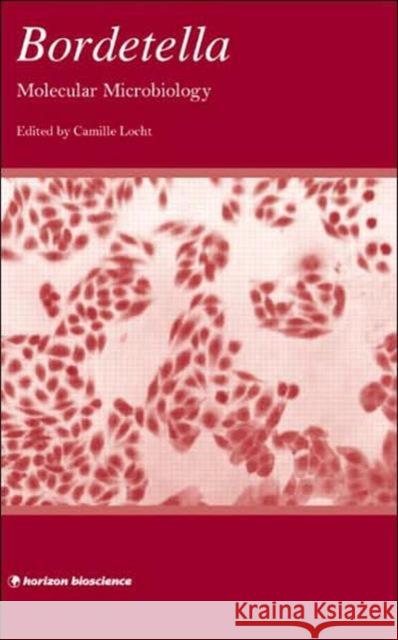 Bordetella: Molecular Microbiology Camille Locht 9781904933311 Horizon Bioscience - książka
