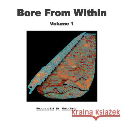 Bore From Within: Volume 1 Donald P. Stoltz 9780972118958 R. R. Bowker - książka
