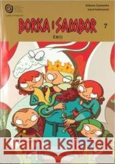 Borka i Sambor T.7 Żmij Elżbieta Żukowska, Karol Kalinowski 9788361391432 Muzeum Początków Państwa Polskiego w Gnieźnie - książka