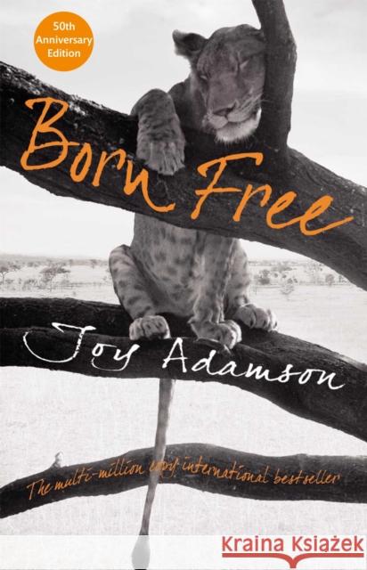 Born Free Joy Adamson 9780330518239 Pan Macmillan - książka