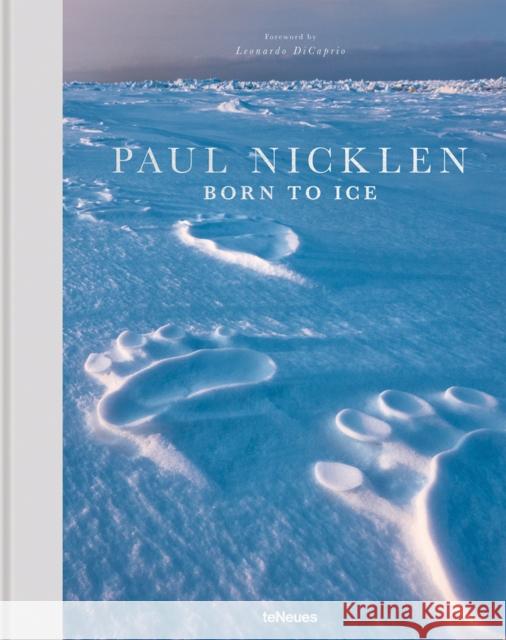 Born to Ice Paul Nicklen 9783961711239 teNeues Publishing UK Ltd - książka