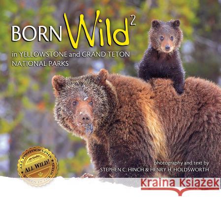 Born Wild 2: In Yellowstone and Grand Teton National Parks Stephen C. Hinch Henry H. Holdsworth 9781560377535 Farcountry Press - książka
