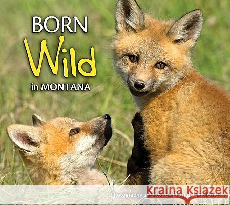 Born Wild in Montana Donald M. Jones 9781560374879 Farcountry Press - książka