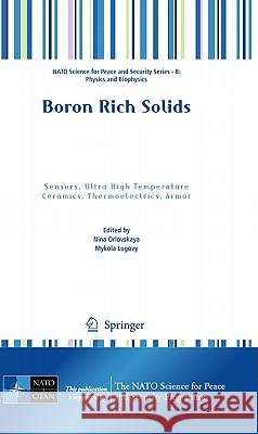 Boron Rich Solids: Sensors, Ultra High Temperature Ceramics, Thermoelectrics, Armor Orlovskaya, Nina 9789048198177 Springer - książka