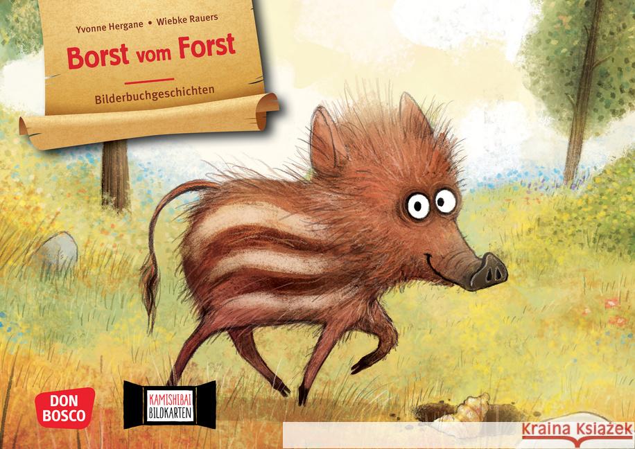 Borst vom Forst. Kamishibai Bildkartenset Hergane, Yvonne 4260694922507 Don Bosco Medien - książka
