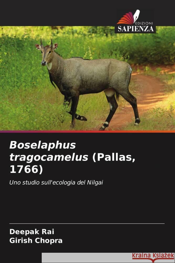 Boselaphus tragocamelus (Pallas, 1766) Rai, Deepak, Chopra, Girish 9786205428771 Edizioni Sapienza - książka
