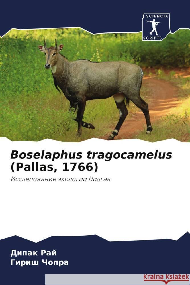 Boselaphus tragocamelus (Pallas, 1766) Raj, Dipak, Chopra, Girish 9786205428795 Sciencia Scripts - książka