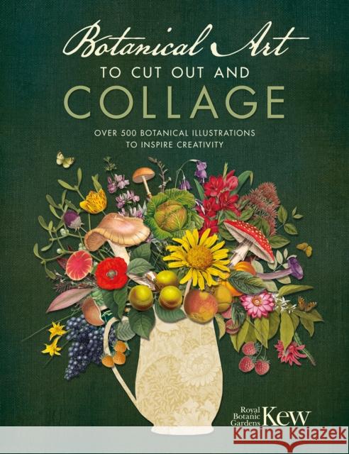 Botanical Art to Cut out and Collage: Over 500 Botanical Illustrations to Inspire Creativity Kew Royal Botanic Gardens 9781446309933 David & Charles - książka