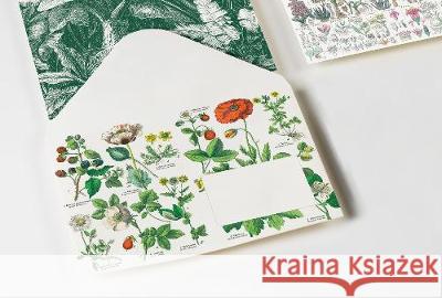 Botanical: Envelopes (C6) Pepin Van Roojen 9789460093661 Pepin Press - książka