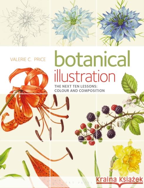 Botanical Illustration: The Next Ten Lessons: Colour and Composition Valerie Price 9781912217731 Bloomsbury Publishing PLC - książka