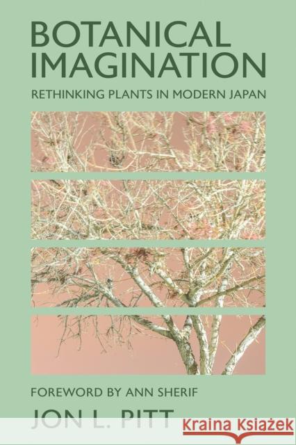 Botanical Imagination: Rethinking Plants in Modern Japan Jon L. Pitt 9781501780950 Cornell University Press - książka