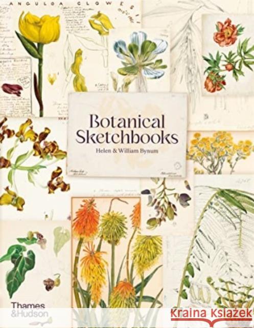 Botanical Sketchbooks William Bynum 9780500297186 Thames & Hudson Ltd - książka