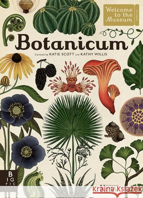 Botanicum Willis, Professor Katherine J.|||Willis, Kathy 9781783703944 Templar Publishing - książka