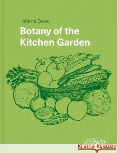 Botany of the Kitchen Garden Helena Dove 9781842467831 Royal Botanic Gardens - książka