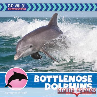 Bottlenose Dolphins in the Wild Virginia Loh-Hagan 9781668972755 Cherry Lake Publishing - książka