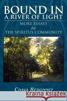 Bound in a River of Light: More Essays for the Spiritus Community Redonnet, Michelle 9780595429707 iUniverse - książka