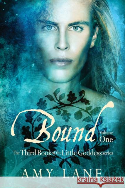 Bound, Vol. 1 Amy Lane 9781634761192 DSP Publications - książka