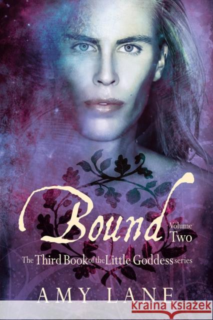 Bound, Vol. 2 Amy Lane   9781634764599 DSP Publications - książka