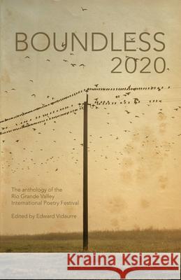 Boundless 2020: the official anthology of the Rio Grande Valley International Poetry Festival Edward Vidaurre Matthew Revert Daniel Garc 9781734561791 Flowersong Press - książka