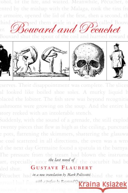 Bouvard and Pecuchet Gustave Flaubert 9781564783936  - książka