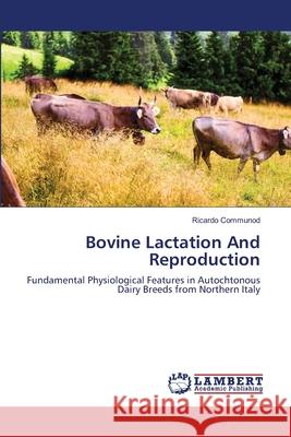 Bovine Lactation And Reproduction Ricardo Communod 9783659204692 LAP Lambert Academic Publishing - książka