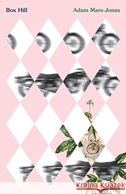 Box Hill: A Story of Low Self-Esteem Adam Mars-Jones 9780811230056 New Directions Publishing Corporation - książka