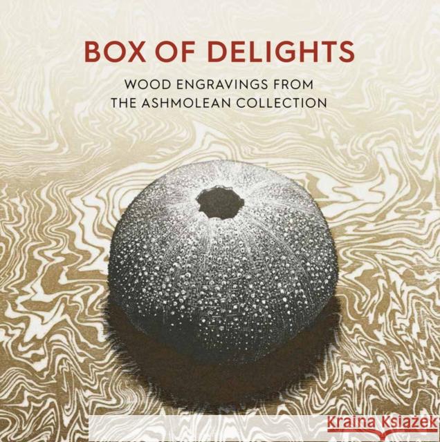 Box of Delights: Wood Engravings from the Ashmolean Collection Anne Desmet 9781910807385 Ashmolean Museum - książka