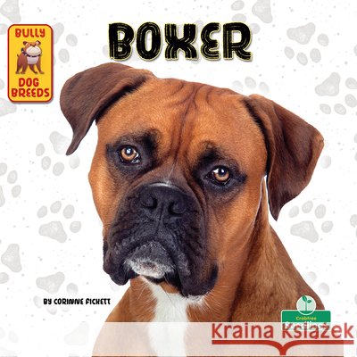 Boxer Corinne Fickett 9781039844674 Crabtree Seedlings - książka