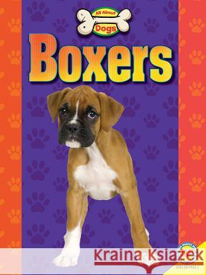 Boxers Joanne Mattern 9781489673664 Av2 by Weigl - książka
