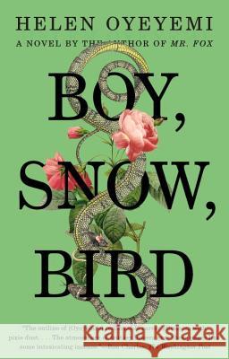 Boy, Snow, Bird Helen Oyeyemi 9781594633409 Riverhead Books - książka