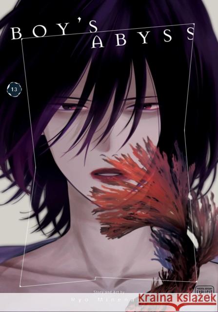 Boy's Abyss, Vol. 13 Minenami, Ryo 9781974762576 Viz Media - książka