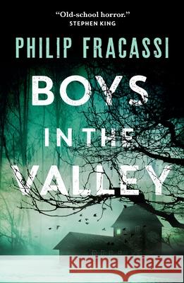 Boys in the Valley Philip Fracassi 9781250879059 Tor Nightfire - książka