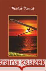 Bożeszydło Michał Kowal 9788367171984 Sowello - książka