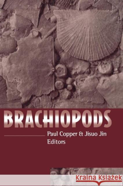 Brachiopods Paul Copper Jisuo Jin 9789054108160 CRC - książka