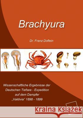 Brachyura Doflein, Franz 9783845701240 UNIKUM - książka