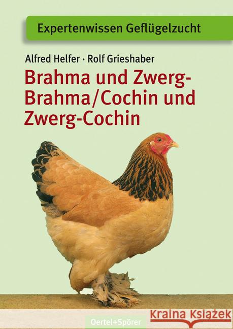 Brahma und Zwerg-Brahma / Cochin und Zwerg-Cochin Helfer, Alfred Grieshaber, Rolf  9783886275472 Oertel & Spörer - książka