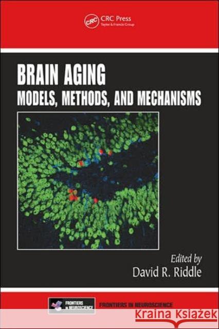 Brain Aging: Models, Methods, and Mechanisms Riddle, David R. 9780849338182 CRC Press - książka