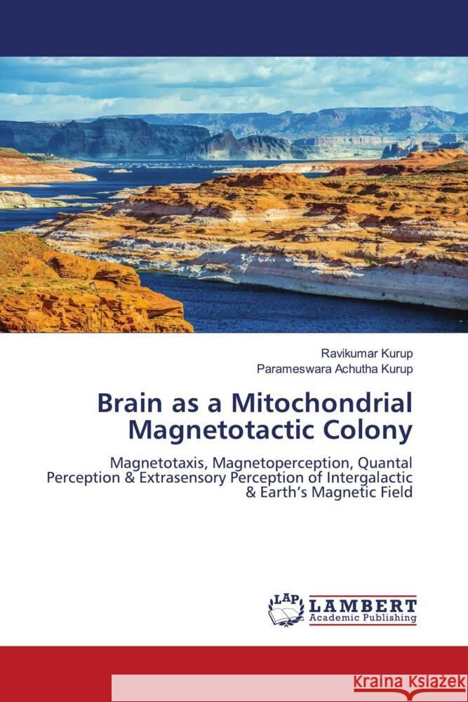 Brain as a Mitochondrial Magnetotactic Colony Kurup, Ravikumar, Achutha Kurup, Parameswara 9786206156222 LAP Lambert Academic Publishing - książka
