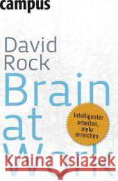 Brain at Work : Intelligenter arbeiten, mehr erreichen Rock, David Hölsken, Nicole  9783593393407 Campus Verlag - książka