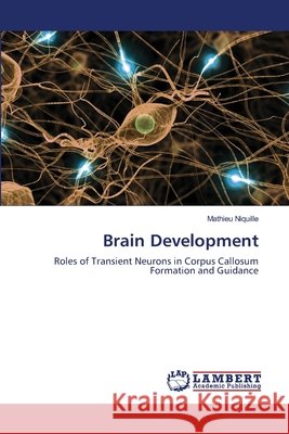 Brain Development Mathieu Niquille 9783659218491 LAP Lambert Academic Publishing - książka